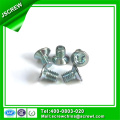 Type S Flat Head Stainless Steel Anti-Theft Bolt