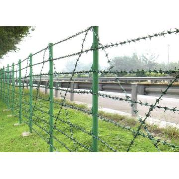 PVC Coated Galvanized Iron Barbed Wire for Fence