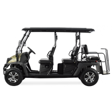 Benzinmotor 450cc UTV mit EPA