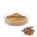 Cinnamon Extract Powder Factory Fourniture de haute qualité