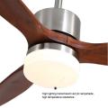 Modern smart ceiling fan with light