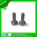 Trout Head Neck Neck Stainless Steel Carriage Bolt