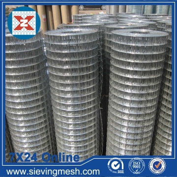 Galvanized Iron Welded Wire Mesh