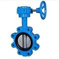 Lug Type Wrom Gear Butterfly Valve