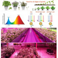 Systèmes hydroponiques Veg / Bloom Hydroponics LED augmente la lumière