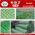 Protecting Vegetation Plastic Geomat to Fixed Water and Soil