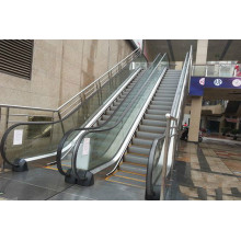 Big Mall Passenger Escalator