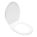 Sanitary Ware Plastic Toilet Seat Cover Mould