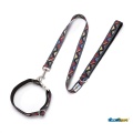 Flowing Art Dog Traction Set Dog Leashes