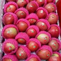 Fresh Good Quality Delicious Qinguan Apple