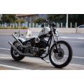 Motorcycle de style hachoir 250cc