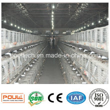 Best Price Galvanized Wire Mesh Chicken Cage for Poultry Farm
