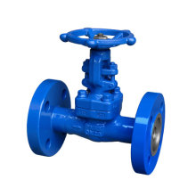 GB Forged Flange Hascrome Gate Valve with Satellite