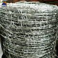 galvanized barbed wire roll