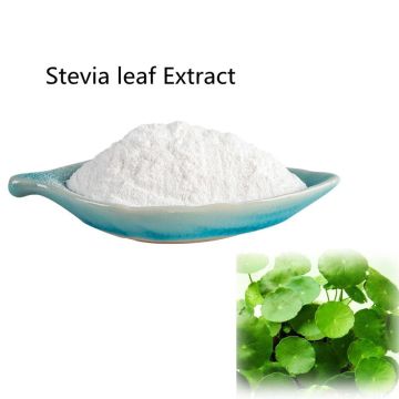 Kaufen Sie online CAS91722-21-3 Natürliches Stevia-Blatt-Extraktpulver