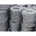 Hot DIP Galvanized Barbed Wire