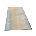 Hot Rolled Steel Plate for Construction Material