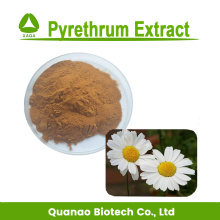 Pyrethrum-Extrakt 10:1 Pyrethrin 25% für Insektizide