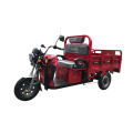 Trike électrique respectueux de l&#39;environnement 60V1200W