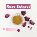 Food Grade Foods Additives Red Rose Flower Extract