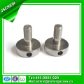 Stainless Steel Binding Post Screw