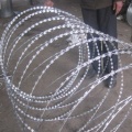 Hot-dipped steel blade barbed razor wire