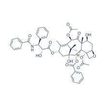 Paclitaxel 33069-62-4