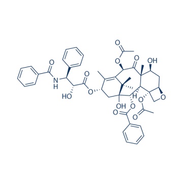 Paclitaxel 33069-62-4