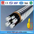 3.6/6kv Aluminum Alloy Conductor XLPE Insulated PVC Sheathed Steel Tape Armoured Power Cable