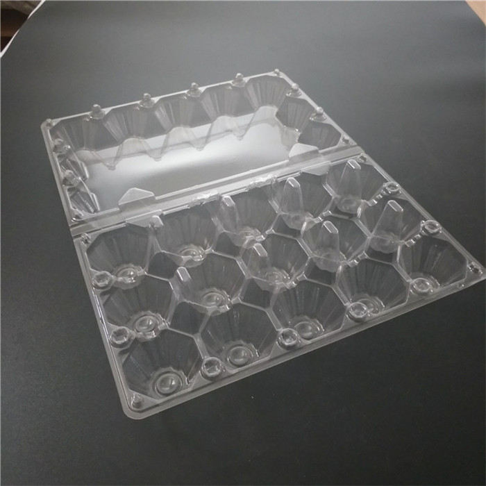 Plastic Egg Trays With Lid