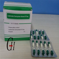 Capsule de chlorhydrate de Loperamide BP 2mg