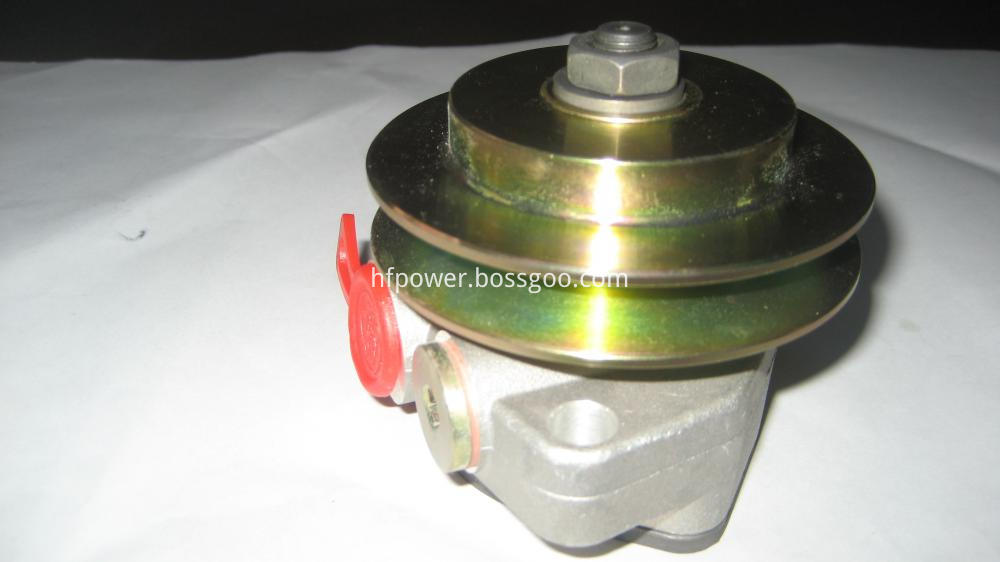 1013 diesel fuel injection pump (1)