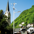 Commerce de gros 30W Wind Solar Hybrid LED Street Light