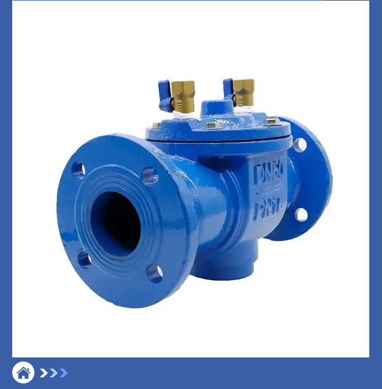 DF41X Backflow Preventer DF41X Backflow Preventer