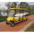 Carritos de golf personalizados con cargador de batería con caja de carga