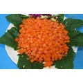 Bulk Wholesale Frozen Carrot Dice