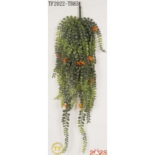 29" Pea leaf hanging bush