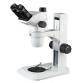 Bestscope BS-3030at Trinokulares Zoom-Stereomikroskop