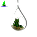 Hanging Clear Glass Succulent Flowerpot Container