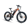 Bicicleta de montanha elétrica XY-Warrior-W com motor central