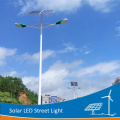 DELIGHT 6M Double Arm Solar outdoor street lamp