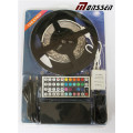 RGB Waterproof DC12/24V Flexible 3528 LED Strip with CE&RoHS Approved