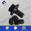 Non-standard screw with black made in Shanghai