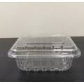 Caja de empaquetado plástica de la concha de la fruta del arándano