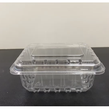 Пластиковая упаковочная коробка с фруктами черники