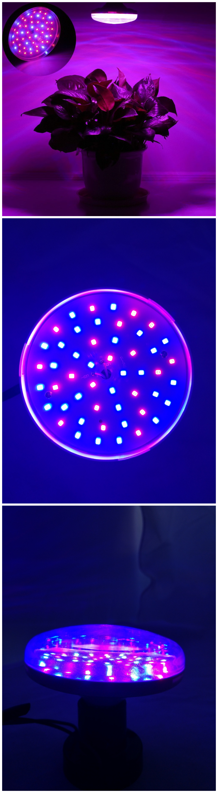 application of 10W led grow light