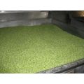 Factory producing AD green garden peas