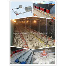 Equipo de granja de aves de corral reproductoras para granja avícola