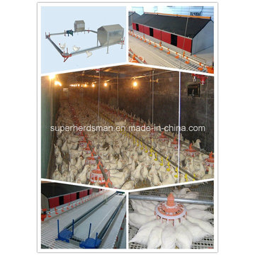 Breeder Poultry Farm Equipment for Poultry Farm