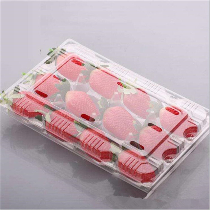 Compartments Plastic Strawberry Container